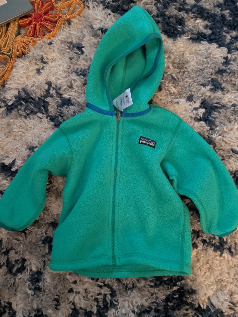 Patagonia Kids Teal Green Fleece Hoodie